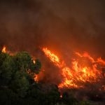 Ρατσιστική Επίθεση σε Αγώνα Λίβερπουλ-Μπόρνμουθ: Οπαδός Απομακρύνθηκε από την Αστυνομία