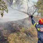 Ιωάννα Τούνη: Η αιχμηρή απάντηση για την απουσία του γιου της στα γενέθλιά της