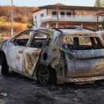 Πελώρια καφέ αρκούδα εισέβαλε σε παγωτατζίδικο στην Καλιφόρνια