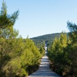 Τηλεδιάσκεψη Τραμπ, Ζελένσκι και Ευρωπαίων ηγετών: Ένα προοίμιο πριν την Αλάσκα