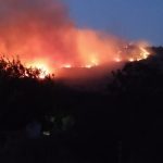 Ηρωική διάσωση προβάτων στα Καμίνια – Έσπασαν καγκελόπορτα για να σωθούν