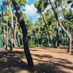 Το «πλυντήριο» της Γκισλέιν Μάξγουελ: Από τον Τραμπ στον πρίγκιπα Άντριου όλοι «κύριοι»