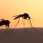 Χρηματιστήριο Αθηνών: Αναταραχή γύρω από τις 2.100 μονάδες