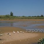Γιώργος Μαζωνάκης: Εξιτήριο μετά από πέντε ημέρες στο Δρομοκαΐτειο – «Όλα καλά» δήλωσε