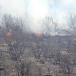 ΗΠΑ-Ρωσία στην Αλάσκα: Τραμπ και Πούτιν συζητούν για την κρίση στην Ουκρανία