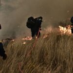 [S] Φέρι μποτ προσάραξε σε ξέρα στα Νέα Στύρα – Επιβάτες μεταφέρονται με βάρκες