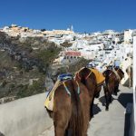[K] Παναθηναϊκός: Ο Ρισόν Χολμς κοντά στην ολοκλήρωση της μεταγραφής