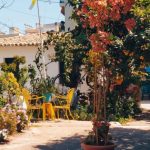 Ρεκόρ εξόδου αδειούχων τον Αύγουστο: 81.511 επιβάτες σε 4 μέρες από τα λιμάνια της Αττικής