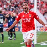 [T] Φέρι μποτ προσάραξε στα Νέα Στύρα – Επιβάτες αποβιβάζονται με βάρκες