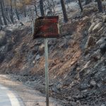 Ρατσιστική Επίθεση σε Αγώνα Λίβερπουλ-Μπόρνμουθ: Οπαδός Απομακρύνθηκε από την Αστυνομία