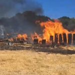 Ζόι Κράβιτς και Όστιν Μπάτλερ φουντώνουν τις φήμες για ειδύλλιο με τρυφερές στιγμές στο Παρίσι