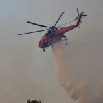 Ντόρσεϊ για Αντετοκούνμπο: «Είναι σαν τρένο που έρχεται κατά πάνω σου»