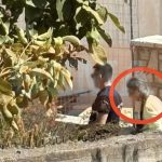 Συγκίνηση και ευχές στον γάμο του Παύλου Βαρδινογιάννη και της Κατερίνας Μπιρμπίλη