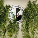 Ολίβια Κόλμαν: Ο απροσδόκητος λόγος που αποφεύγει τις σκηνές σεξ