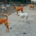 Βασίλης Μπισμπίκης: Η θεία του υπερασπίζεται τον ηθοποιό μετά το τροχαίο στη Φιλοθέη