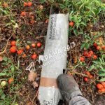 Bottleneck Bangs: Το 70s κούρεμα που θα ανανεώσει κάθε εμφάνιση