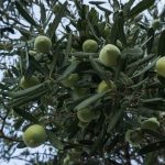 Ο Λούκας Γκέιτζ αποκαλύπτει τη δύσκολη περίοδο του σύντομου γάμου του με τον Κρις Άπλετον