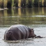Αυστραλία: Ισόβια στην Έριν Πάτερσον για τριπλή ανθρωποκτονία με δηλητηριώδη μανιτάρια