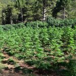 Επιτυχής η πρώτη επέμβαση στον διασώστη του ΕΚΑΒ που τραυματίστηκε σε τροχαίο στην Καλλιθέα
