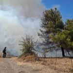Πανιώνιος: 135 χρόνια ιστορίας σε ένα συγκινητικό βίντεο της ΚΑΕ