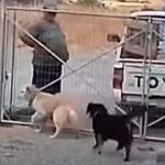Σαμπρίνα Κάρπεντερ: Μήνυμα Υπεράσπισης των Δικαιωμάτων Τρανς στα MTV VMAs
