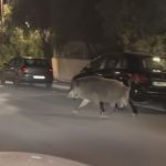 Βραβεία Emmy 2025: Οι πιο λαμπερές εμφανίσεις στο κόκκινο χαλί