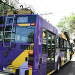 Αγριογούρουνο περιπλανιέται στο Χαϊδάρι προκαλώντας αναστάτωση σε επιβάτες