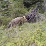 Νταϊάν Κρούγκερ: Εκθαμβωτική με polka dot φόρεμα στο φεστιβάλ της Κάντιθ