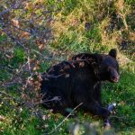 Ο Τομ Χανκς τιμά τη σύζυγό του με τρυφερή ανάρτηση για τα γενέθλιά της