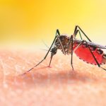 Η Μόσχα αποκλείει άμεση συνάντηση Πούτιν – Τραμπ