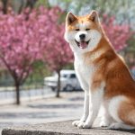 Διπλωματικός πυρετός στην Ιερουσαλήμ: Βανς συναντά τον Νετανιάχου, αύριο έρχεται ο Ρούμπιο