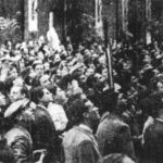 Κοντοάγγελος: Ο κορωνοϊός επιδείνωσε την κατάθλιψη, όχι η χρήση ψυχοφαρμάκων