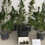 Μπλόκα Τροχαίας: Πότε η προειδοποίηση οδηγών γίνεται παράβαση και ποινικό αδίκημα