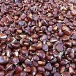 Πιστόλι και σφαίρες βρέθηκαν θαμμένα στην 5η πτέρυγα των φυλακών Κορυδαλλού