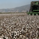 Ο Βανς αυτοτρολάρεται με περούκα για το Χάλοουιν