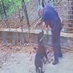 Αναθεώρηση στο σχέδιο κλεισίματος καταστημάτων των ΕΛΤΑ – Αναμένονται επίσημες ανακοινώσεις